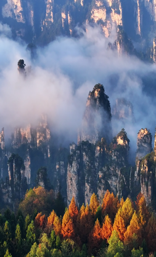 Zhangjiajie National Forest Park 1-day tour [optional VIP fast track 10-person small group]