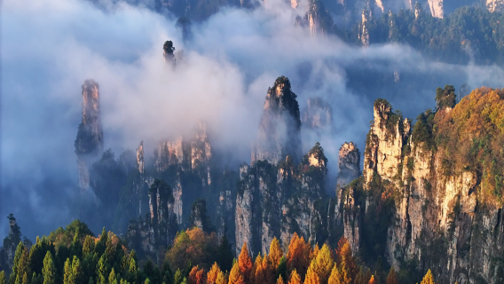 張家界國家森林公園一日遊【可選VIP免排隊 8人團】