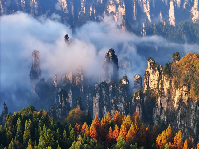 張家界國家森林公園一日遊【可選VIP免排隊 8人團】