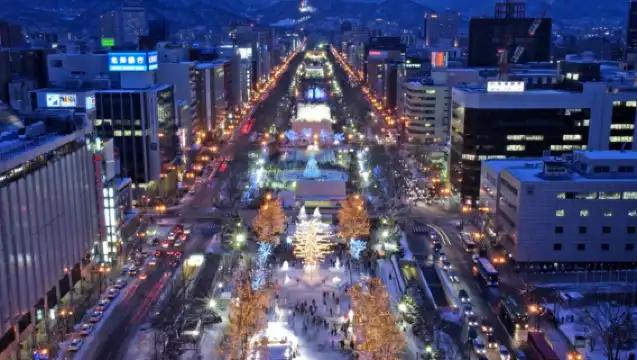 【櫻花之旅】北海道機場接送服務  四選一服務