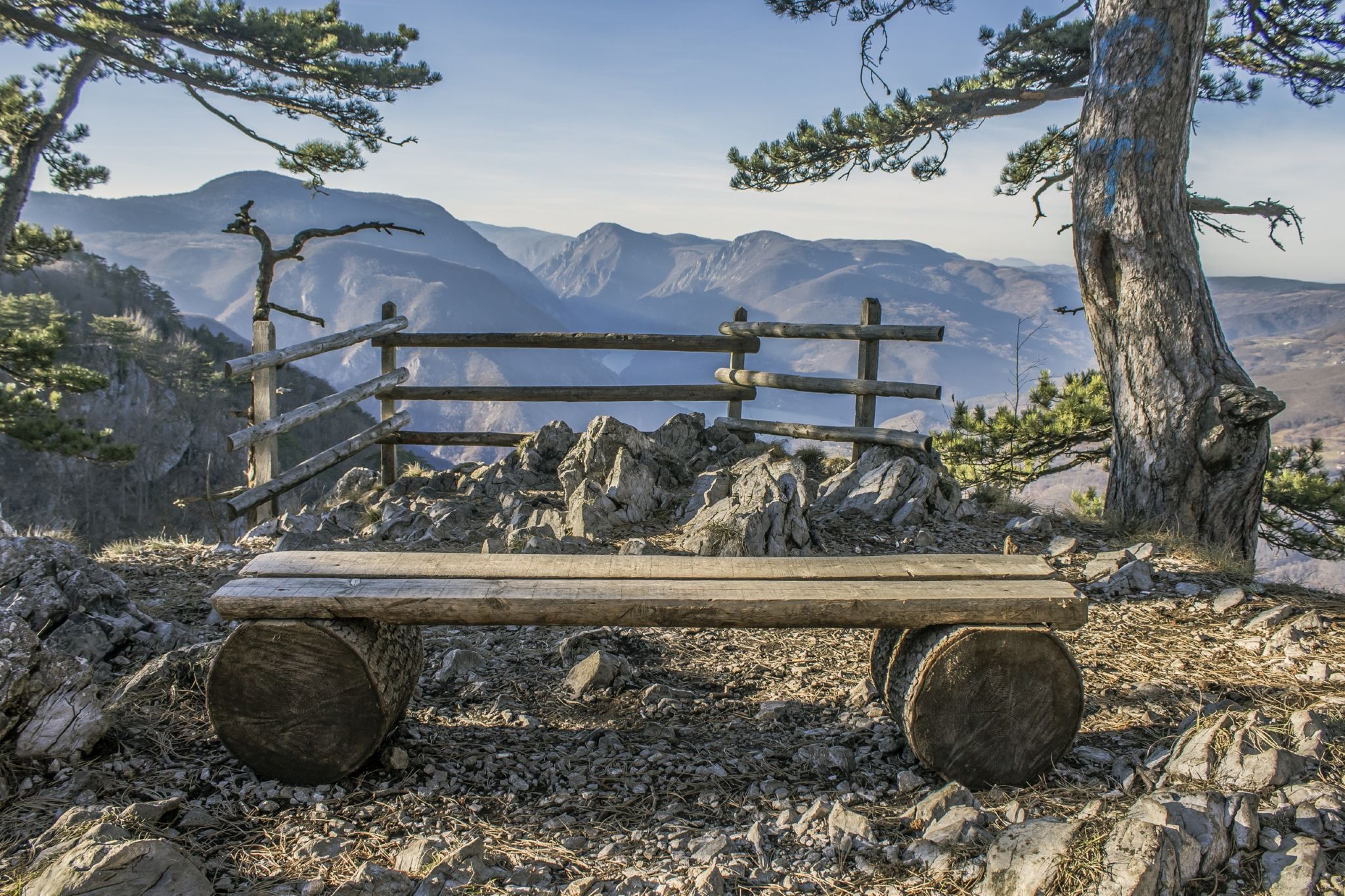 Excursión de un día al Parque Nacional Tara en Serbia | Visita a la Casa de Piedra del río Drina y al mirador del cañón