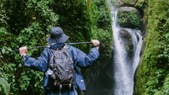 Tengchong, Yunnan: Gaoligong Mountains hiking + Beihai Wetland 1-day tour [Wudao Stream]