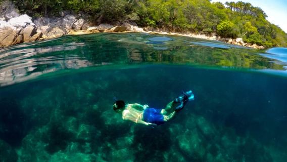 Puerto Vallarta: Tur Kapal Pesiar Mewah dengan Makan Siang dan Bar Terbuka