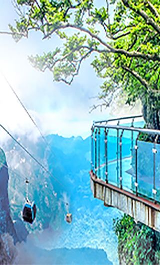 Small group for 10 people * Zhangjiajie Avatar Forest Park + Tianmen Mountain + Glass Bridge highlights tour