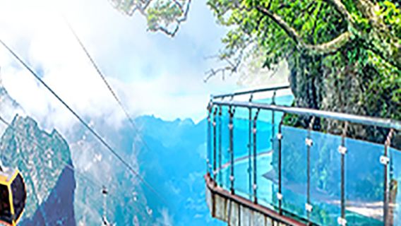 Pacote para pequeno grupo de 10 pessoas * Tour essencial pelo Parque Florestal Avatar de Zhangjiajie + Montanha Tianmen + Ponte de Vidro