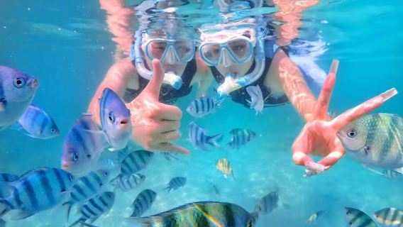 Thailand Pattaya Samet/Samaesarn/Samae San Mountain Boutique Kleingruppen-Schnorcheln, Hochseefischen, professioneller Luxus-Speedboot-Tagesausflug, auch als Charterboot buchbar