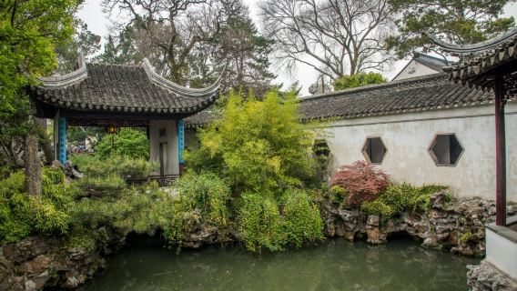 Giardino dell'umile amministratore di Suzhou, Tempio Hanshan, Collina della Tigre, Giardino del Bosco del Leone, Via Shantang - Tour di gruppo in lingua cinese di un giorno.
