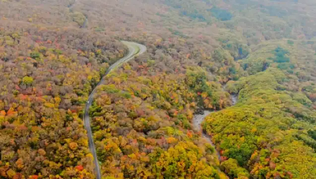 濟州島西南線一日遊｜門票全含｜漢拿山國立公園+追海豚｜4-15人團