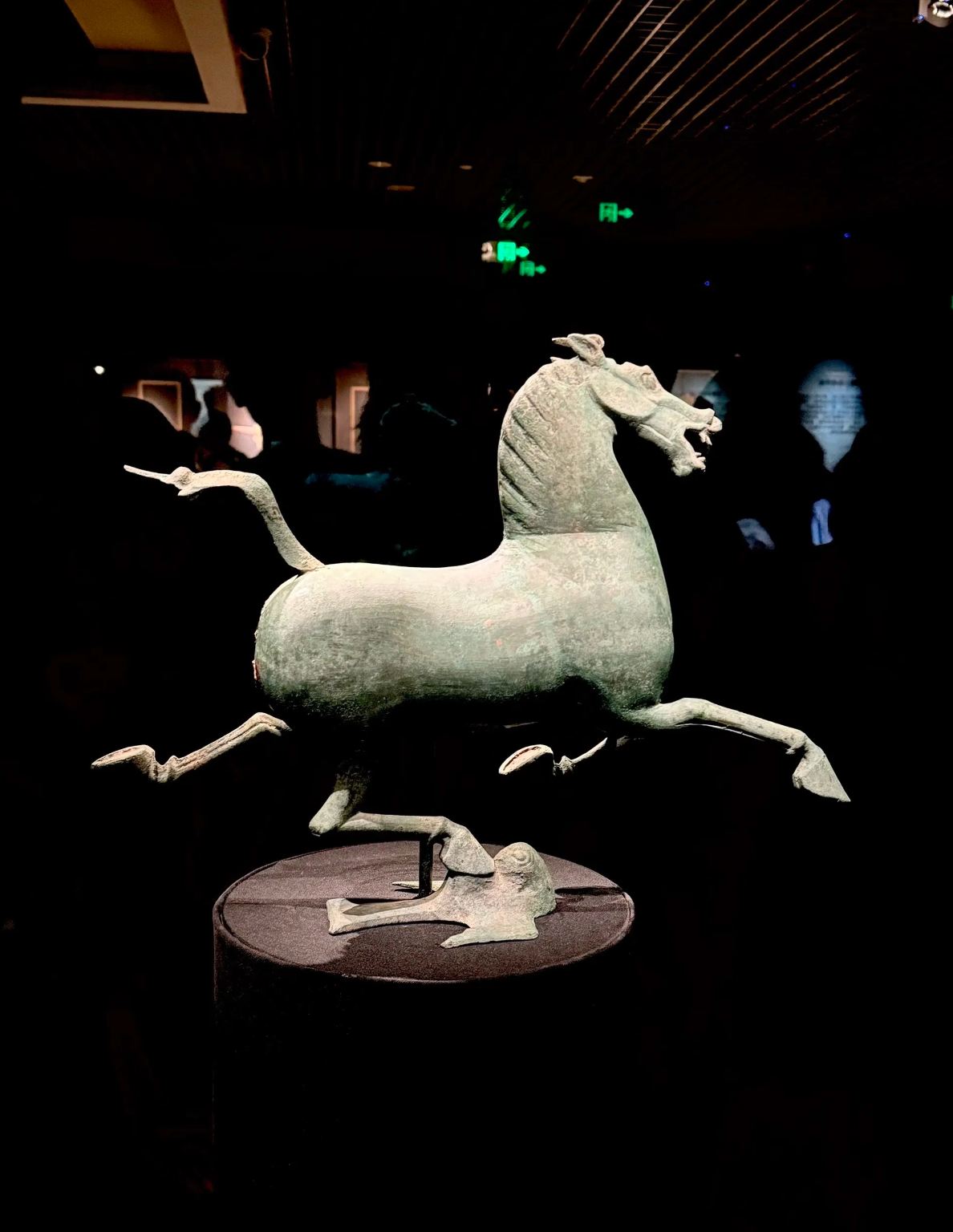 Gansu Provincial Museum Half-Day Tour [2-Hour In-Depth Guide by Professional Lecturer, Including Museum Admission Reservation]