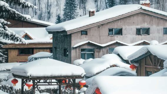 亞布力滑雪旅遊度假區滑雪一日遊【2-6人小團】+中國雪鄉【純玩無購物】