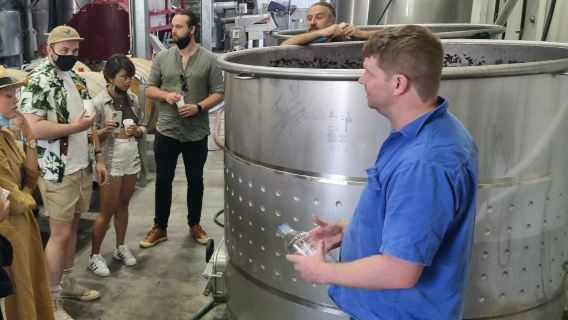 Hunter Valley: Day Trip from Sydney + Tastings + Lunch