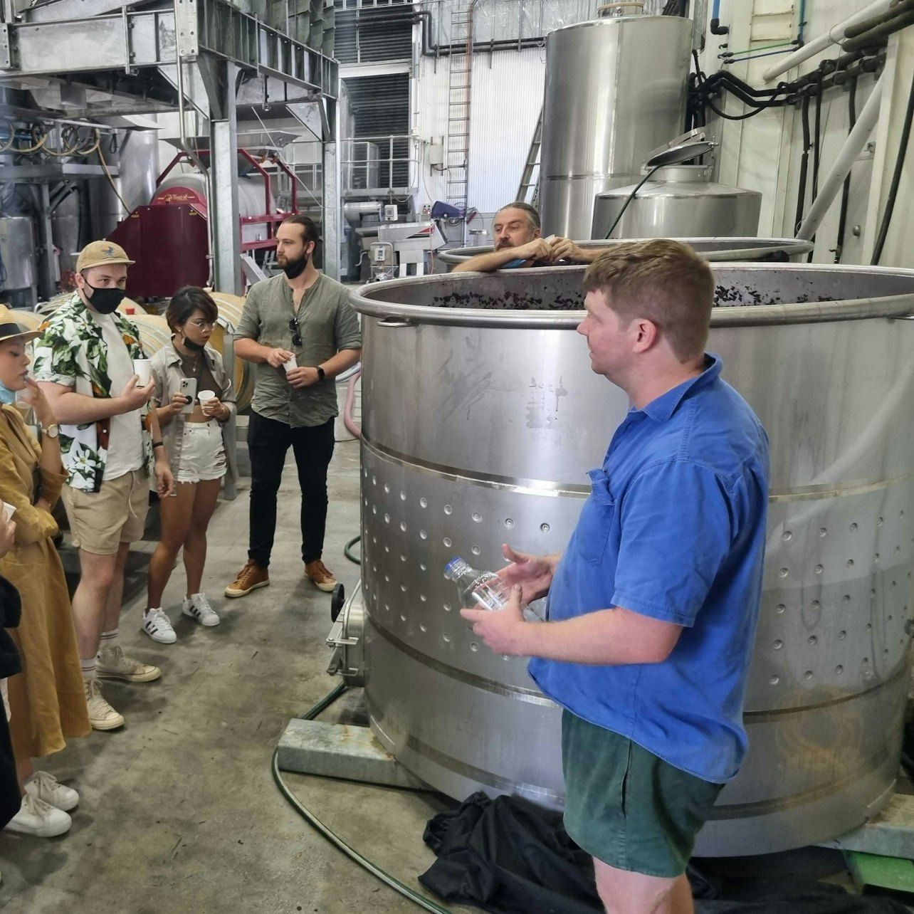 Hunter Valley: Day Trip from Sydney + Tastings + Lunch