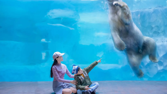 Zhuhai one-day tour Private car tour/family tour/parent-child tour/independent group/one car one group small group