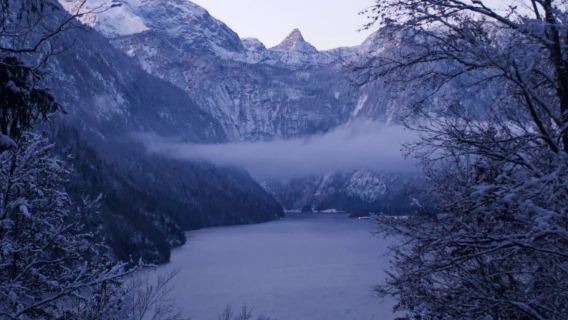 Munich to Konigssee + Magic Forest + Alpine Lake Round-Trip - Private Charter - Top Pick