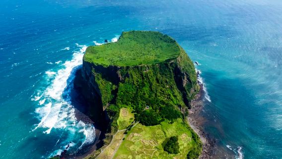 韓國濟州島一日遊｜6人精品小團｜上門接｜中文服務｜純玩無購物