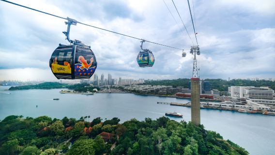 Vé cáp treo trên không Singapore khứ hồi