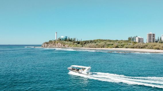 Mooloolaba: Tur Perahu Cepat dengan Pemandu