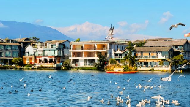 Юньнань: Приватный дневной тур по живописному маршруту озера Эрхай в Дали