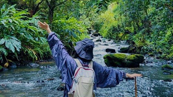 Lawatan sehari ke Koridor Ekologi Air Terjun Batu Gaoligong Tengchong | Masakan Liar Gunung & Sungai + Air Terjun Batu Gunung Berapi yang Menakjubkan