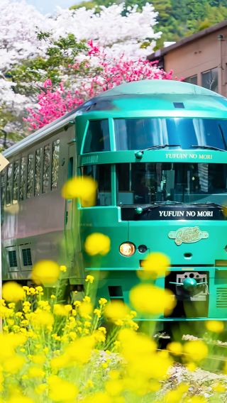 ทัวร์ 1 วันด้วยรถไฟท่องเที่ยวโยฟุอินโนะโมริ: โยฟุอิน · อูมิ จิโกกุ · ศาลเจ้าดาไซฟุ เทนมันกุ