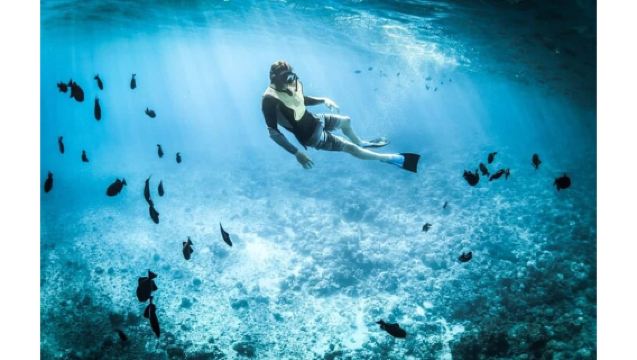 Muscat: Lawatan Snorkeling dan Menonton Lumba-lumba