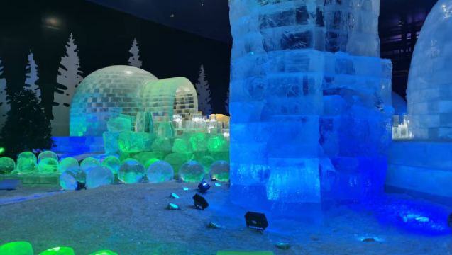 Harbin Ice and Snow World VIP Private Charter · Guide Service · 1-Day Tour with Travel Photography