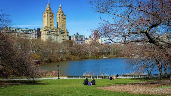 曼哈頓經典環線：中央公園・第五大道・華爾街全打卡【華人司機】