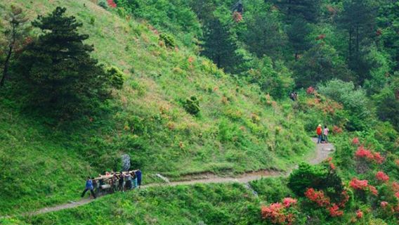 徽杭古道一日遊【華東經典戶外古道頒發古道紀念證書+限定徽章】
