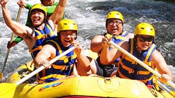 Excursión de un día en Bali para avistar delfines en Lovina [Avistamiento de delfines - Rafting en el río Ayung]