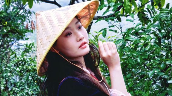 Perjalanan Satu Hari Gunung Nannuo Xishuangbanna [Memetik Teh + Membuat Teh + Makan di Perapian Suku Hani untuk Grup 4-8 Orang]