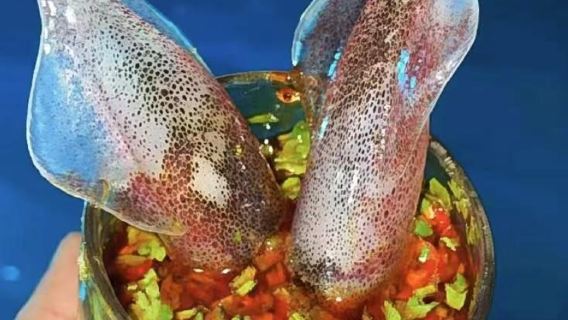 潿洲島出海夏日趣味海釣/夜釣魷魚/趕海/浮潛共享帆船