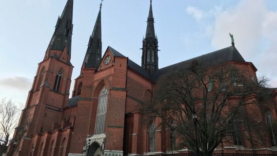 Sweden Stockholm - Uppsala - Sigtuna Lawatan Sehari Klasik dengan Sewaan Peribadi [Warisan Viking]