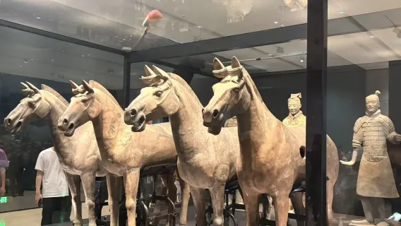 Half‑Day Terracotta Warriors Tour with Traditional Chinese Tui‑Na Massage