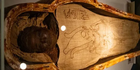 導賞盧克索博物館之旅連歷史及木乃伊展覽