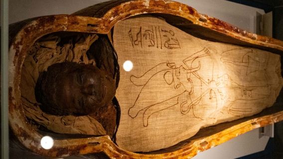 Visite guidée des musées de Louxor avec histoire et exposition de momies
