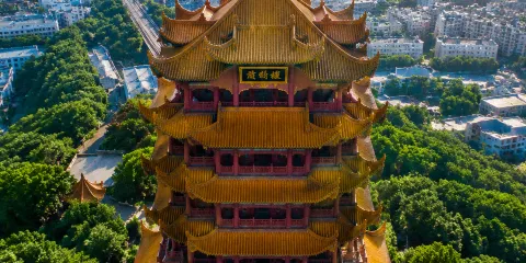 遇見江城丨黃鶴樓+東湖生態旅遊風景區聽濤+湖北省博+武漢大學+輪渡一日遊