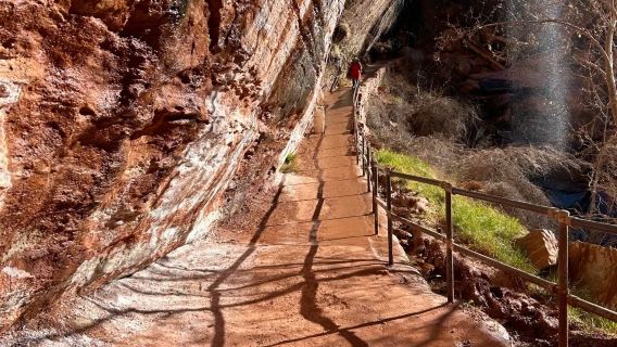 Las Vegas, Amerika Syarikat - Taman Negara Zion + Laluan Memandu Sendiri - Sewaan Peribadi (Tidak Termasuk Tiket) - Tanpa Risau