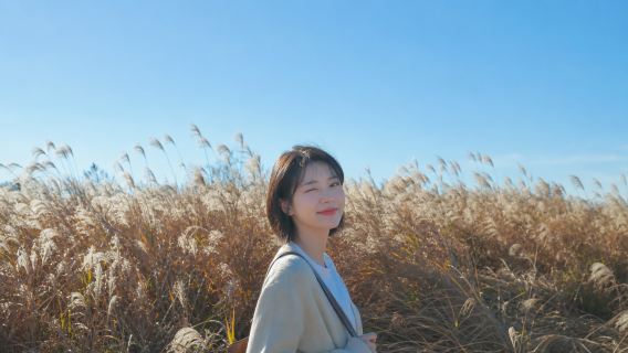 Departing from Seoul | Ansan Maple Road + Waterfall Cafe + Hanok Village + Haneul Park Day Tour