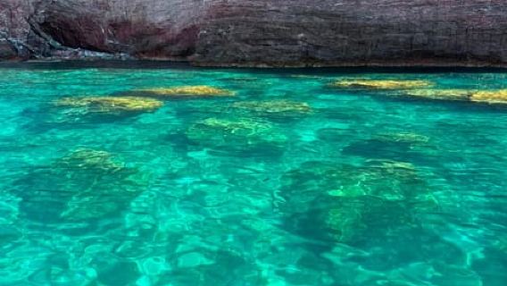 Τσινκουέ Τέρρε: Τουρ ημέρας ή ηλιοβασιλέματος με βάρκα από την τοποθεσία Monterosso – Μικρή ομάδα