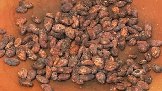 瓦哈卡朱古力製作班：由可可豆到朱古力