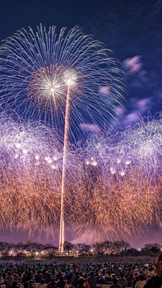 Tsuchiura All Japan Fireworks Competition Day Tour from Tokyo: Ushiku Daibutsu or AMI Premium Outlets | 13-Pax Small Group | Hotel Pick-up Option