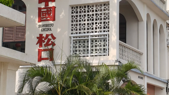 Lawatan sewaan peribadi sehari Meizhou | Kampung halaman Marshal Ye + Ladang Teh Yannanfei + Kampung Qiaoxi + Kuil Lingguang + Bandar Lama Songkou