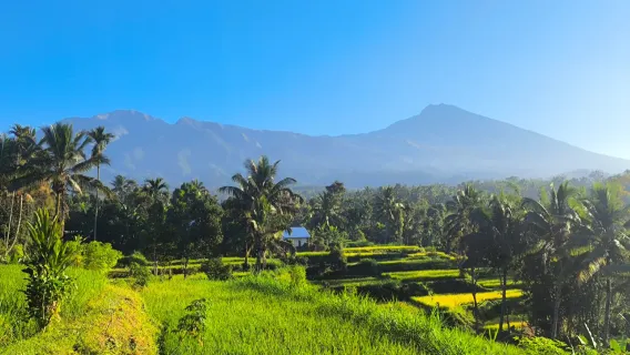 Tetebatu Hidden Nature & Village Walk