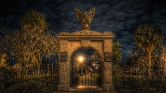 SavannahTours