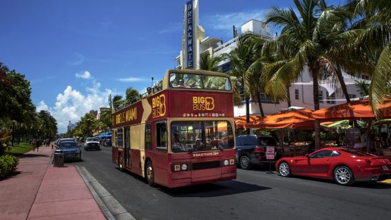 Big Bus Miami hop-on hop-off bus tour