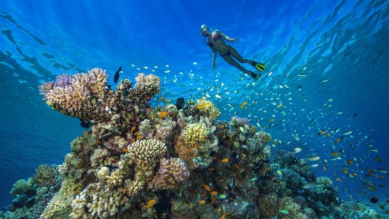 Phu Quoc IslandTours