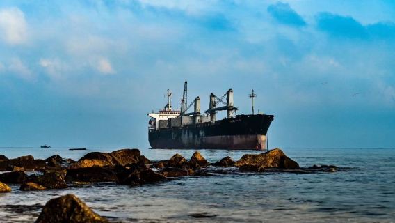 【獨立私人導覽】威海包車一家一團+布魯維斯+天鵝湖+火炬八街