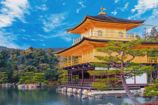 京都金閣寺+清水寺+伏見稻荷大社一日遊,京都深度遊