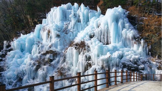 Winter Limited|Fish Fly Valley Glacier X Petite France Italian Village X Nami Island X Garden of Morning Calm Night