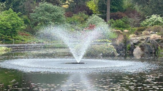 ทัวร์วันเดียว/ทัวร์หลายวัน แวนคูเวอร์ ถนน Robson + หาด Kitsilano + สวน Queen's รถเช่าเหมา พร้อมบริการภาษาจีนและภาษาอังกฤษ